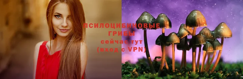 Галлюциногенные грибы Magic Shrooms  Барнаул 